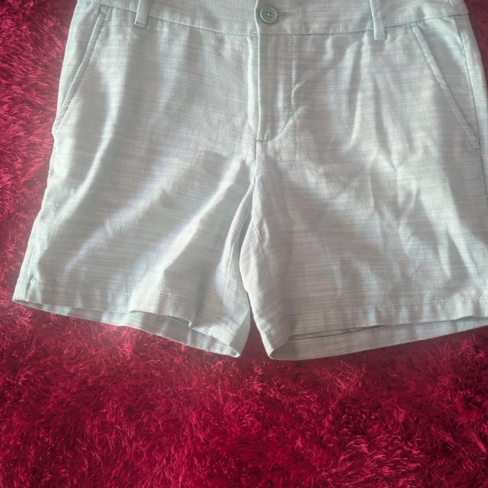 LOFT Women's Soft Green Flat Front Shorts